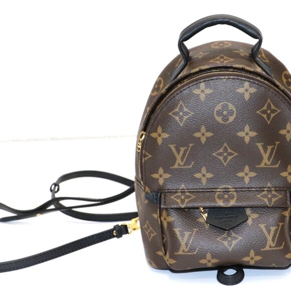 Louis Vuitton Palm Springs Backpack Mini Brown Canvas M44873 - Picture 2 of 14